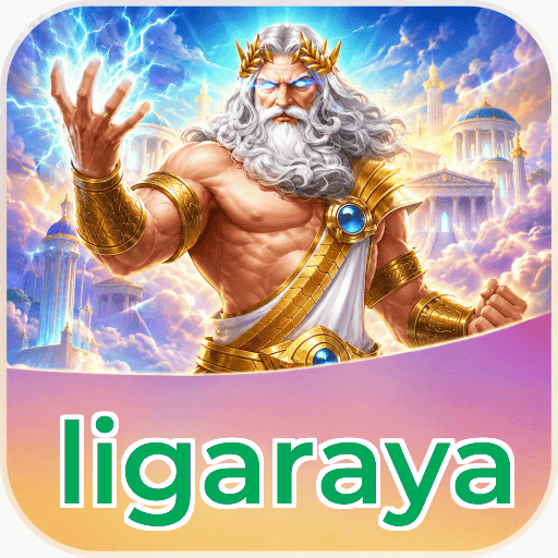 Audit profile ligaraya